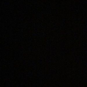 Meet your Posher, Alisa